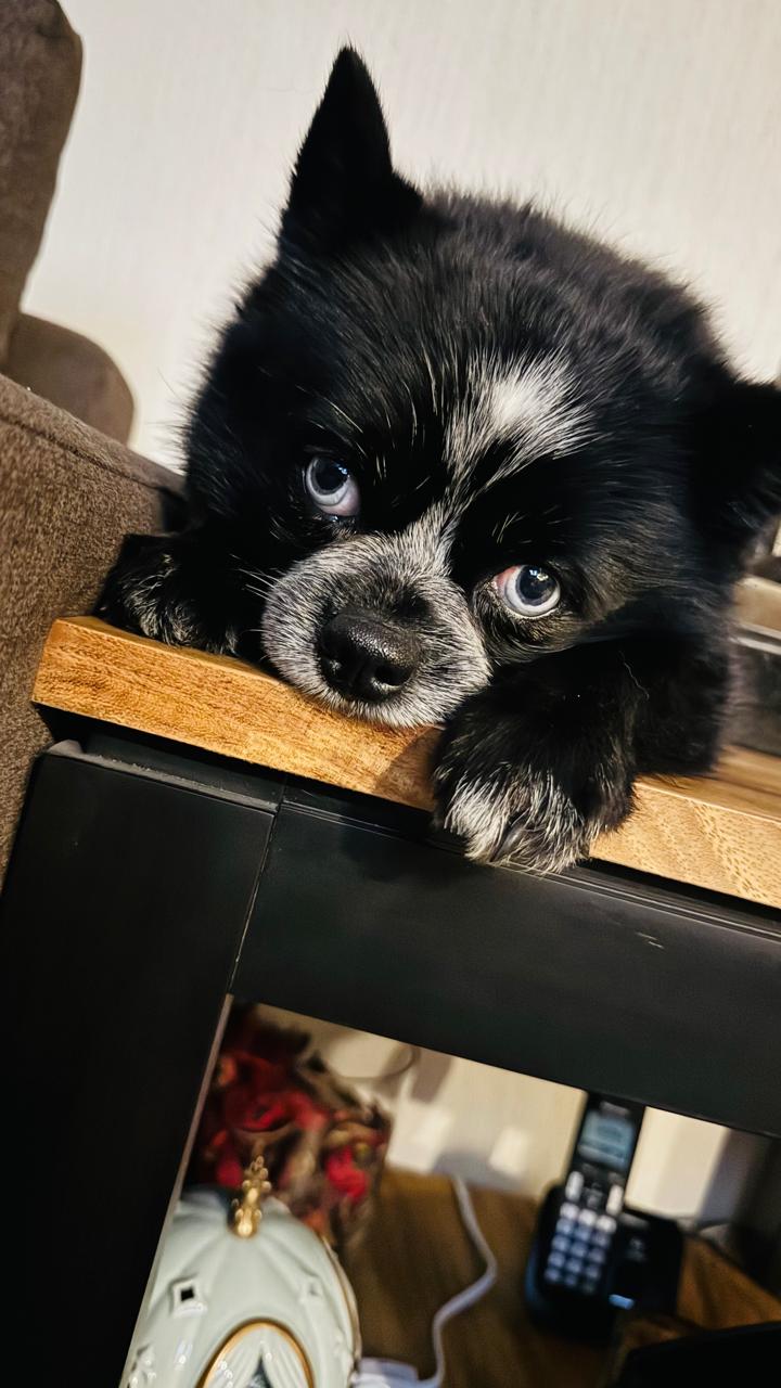 OREO