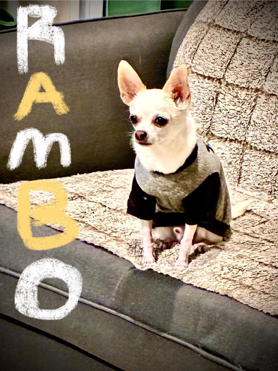 RAMBO