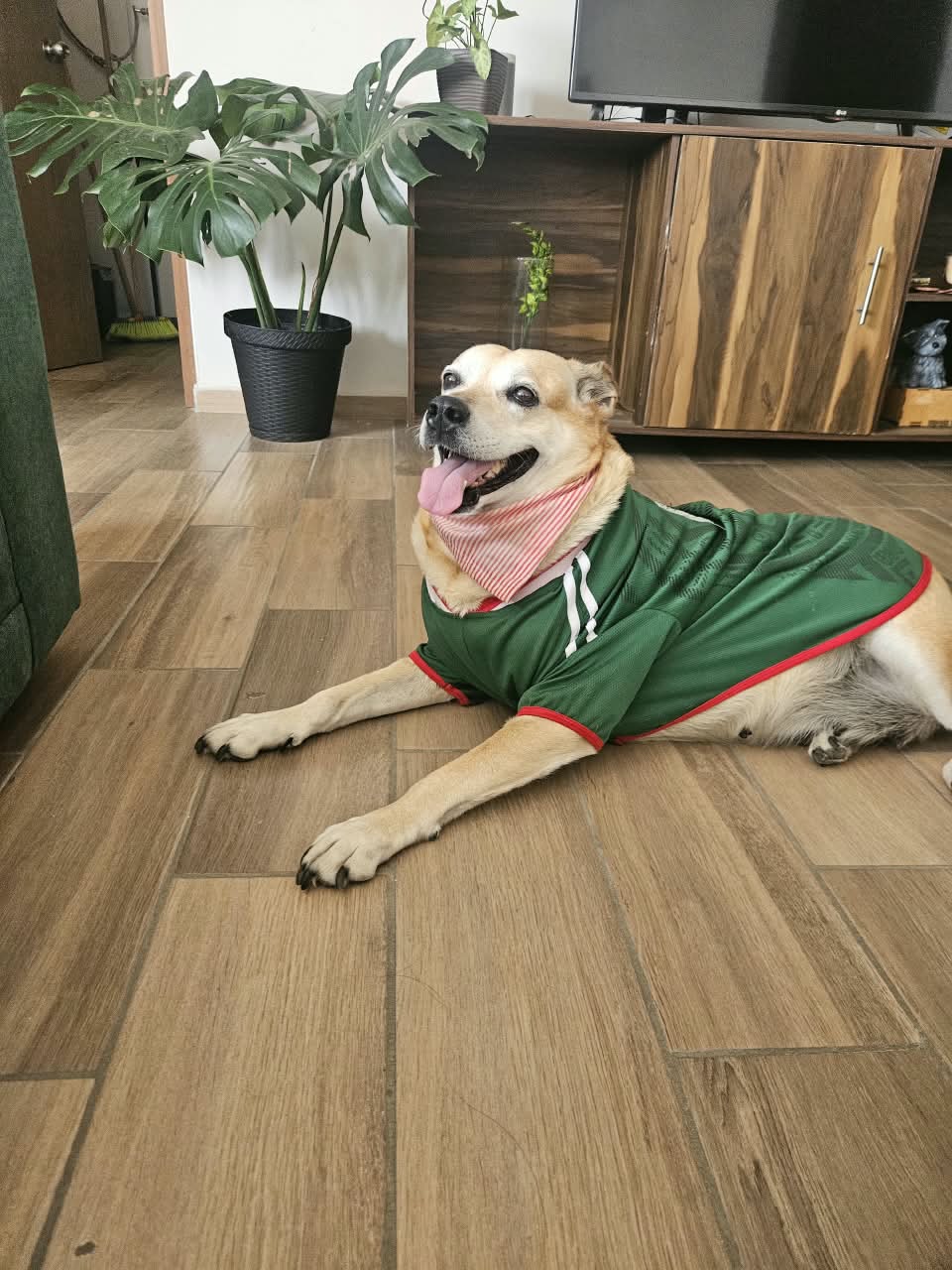 ROSITA