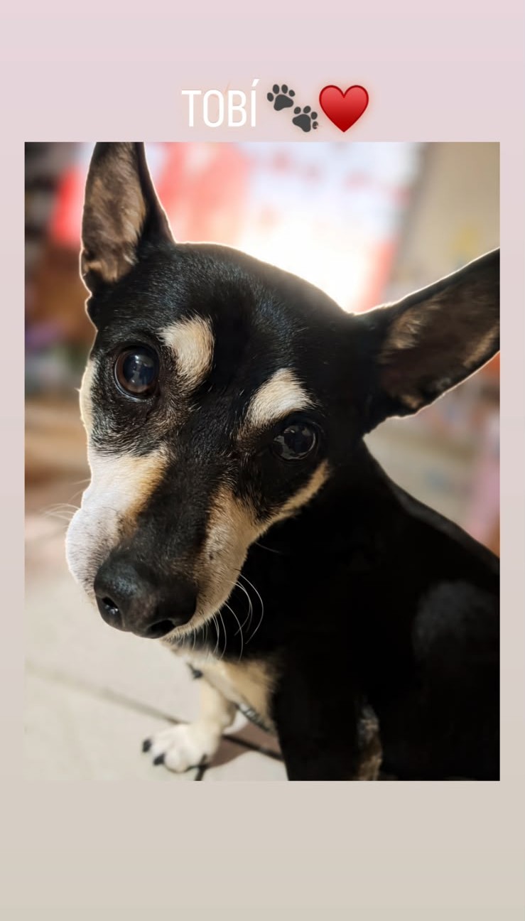 TOBI
