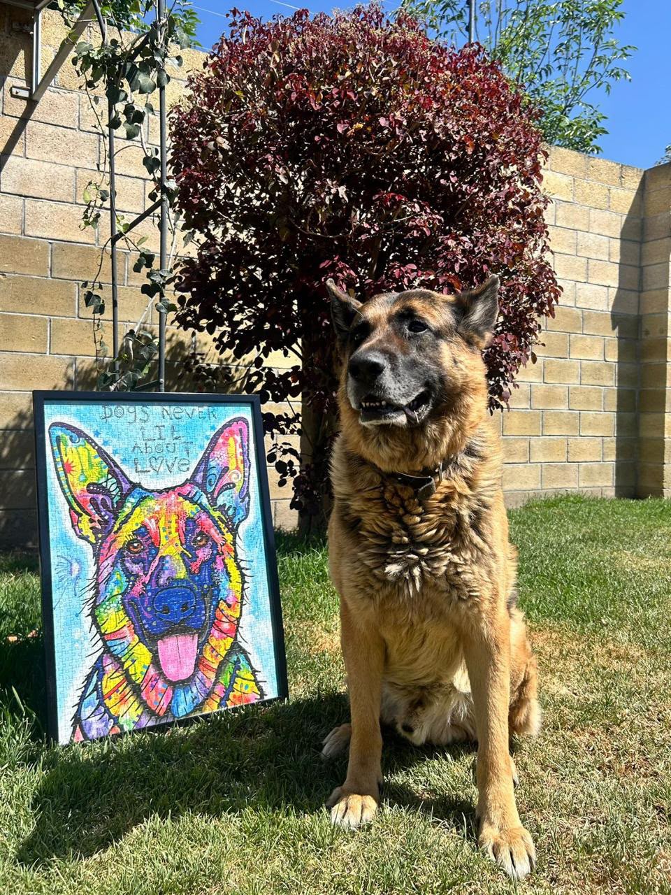 ZEUS