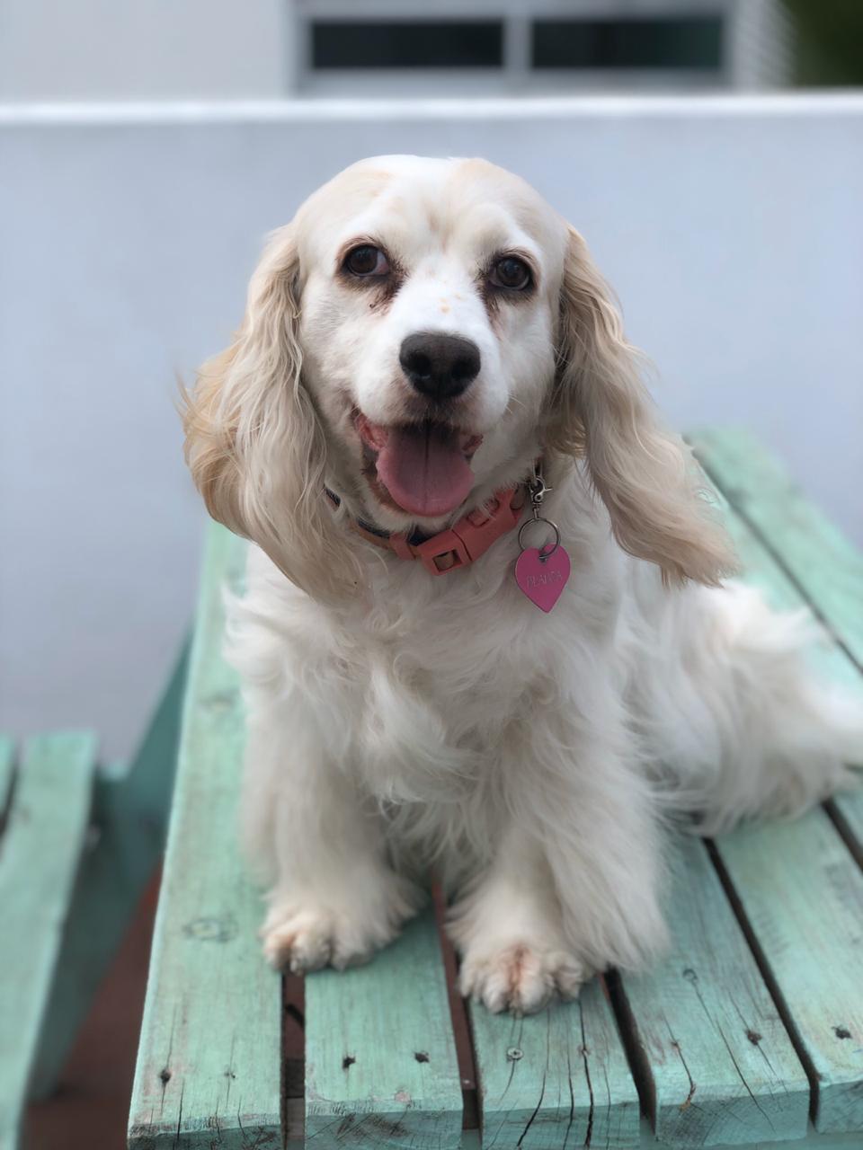 BLANQUITA