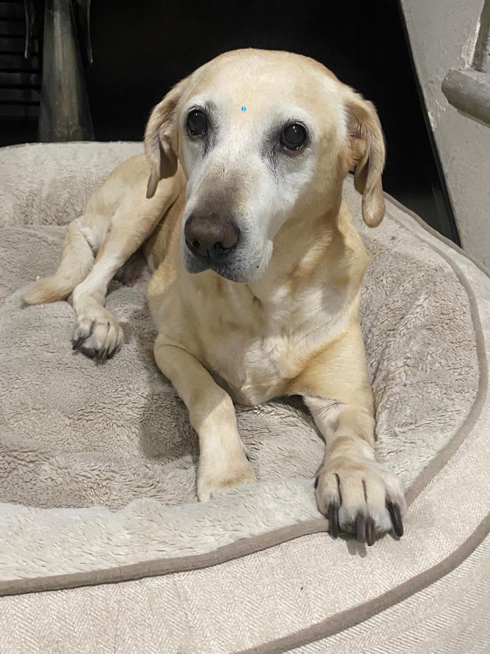 FIONA