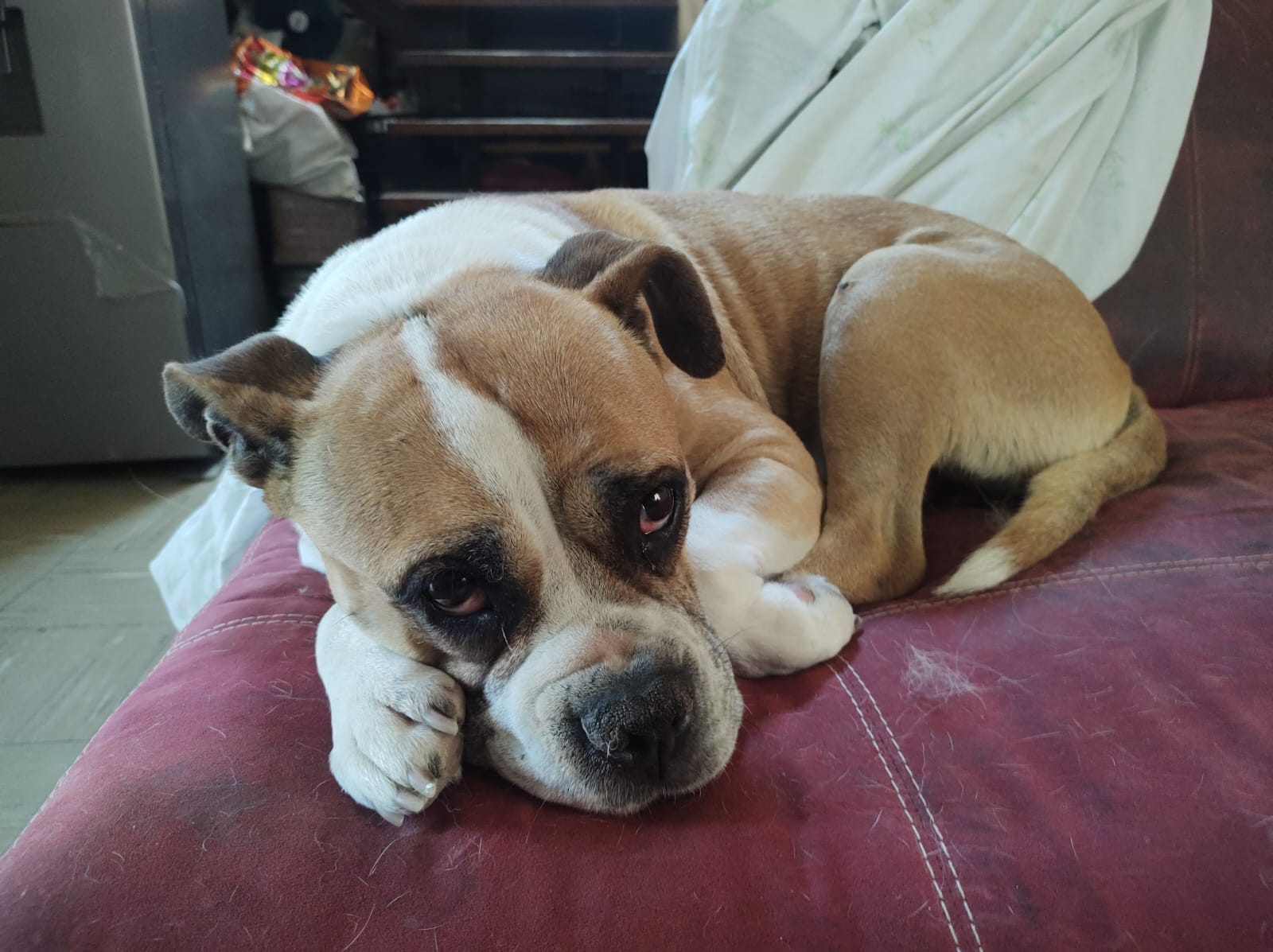 KIKA