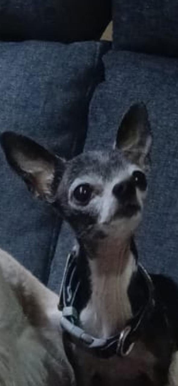LUA