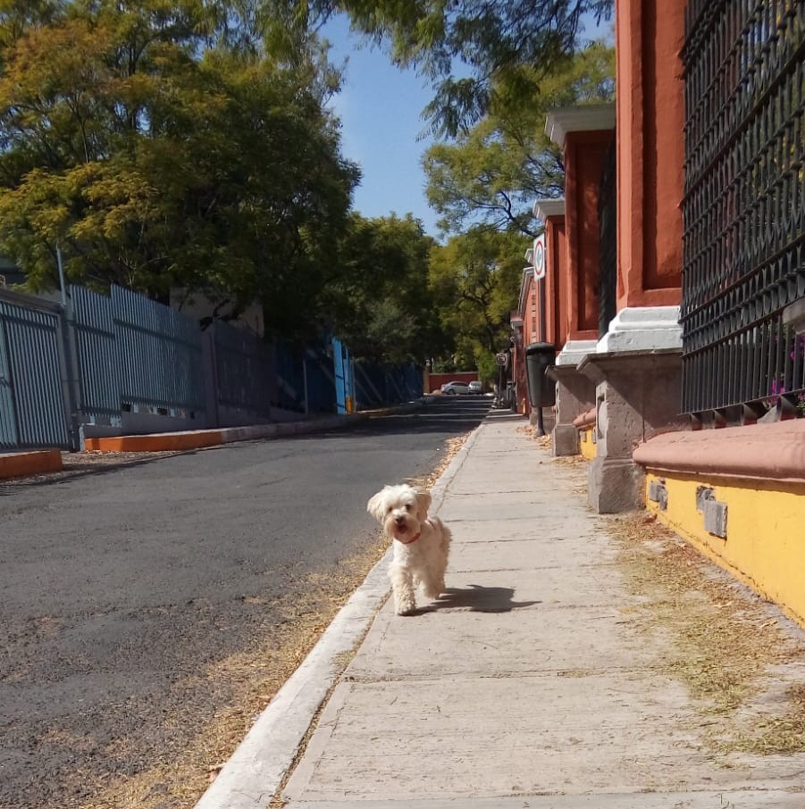 FLOC