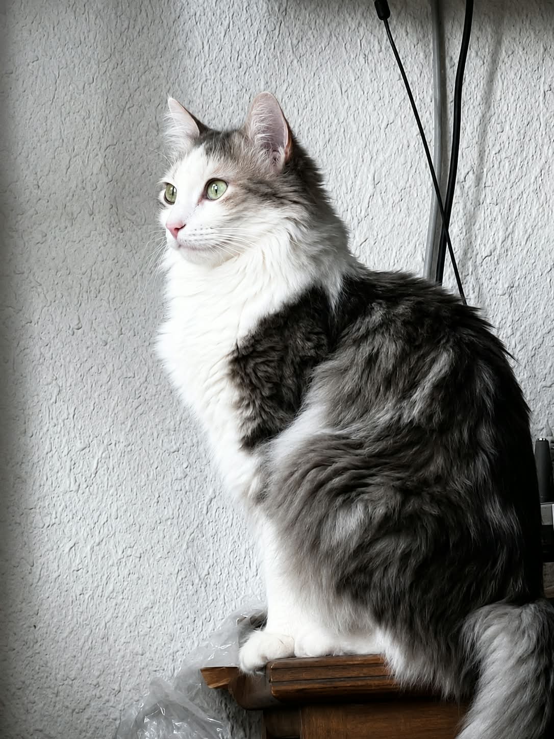 MIRANDA