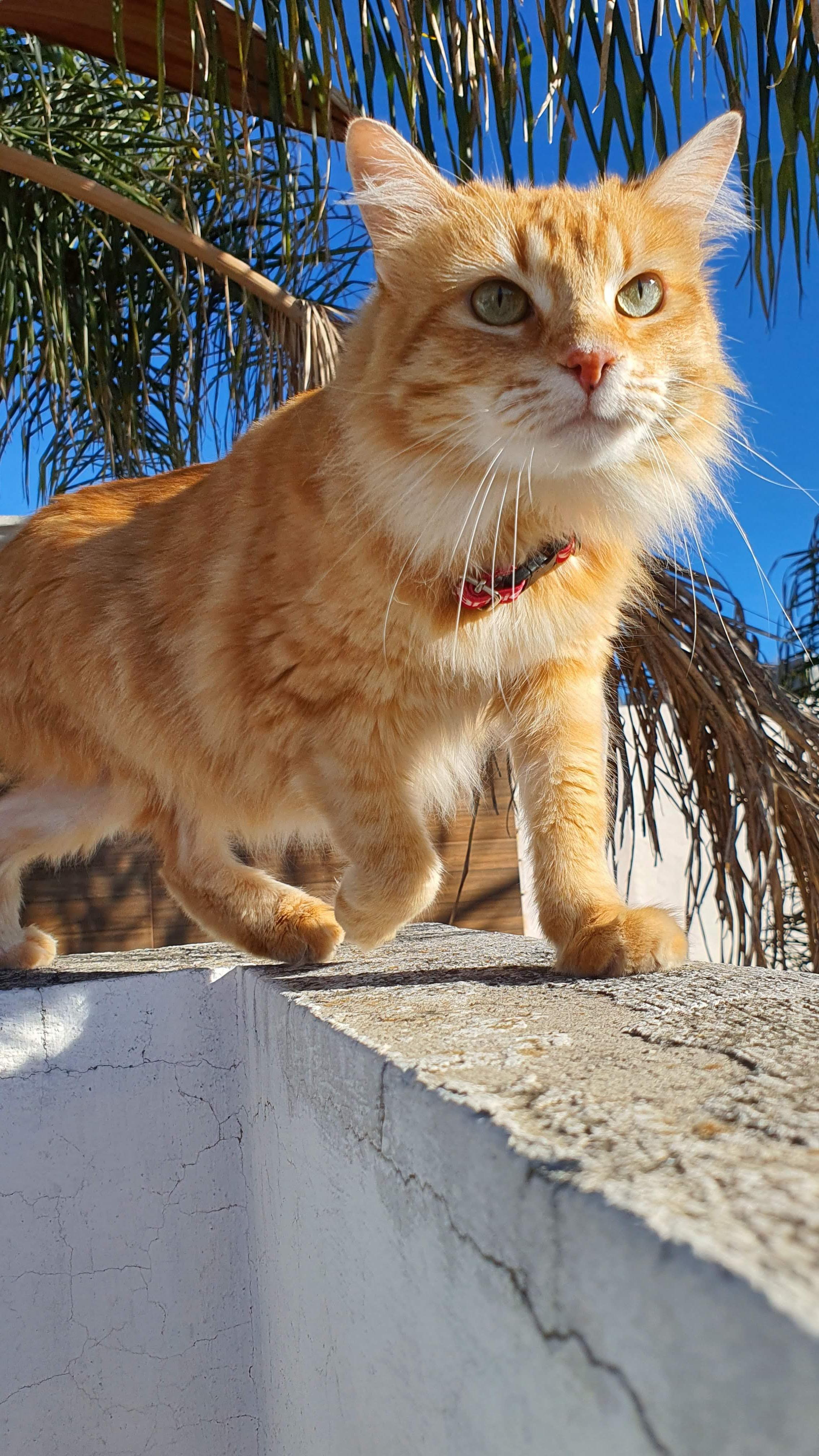 BASTI