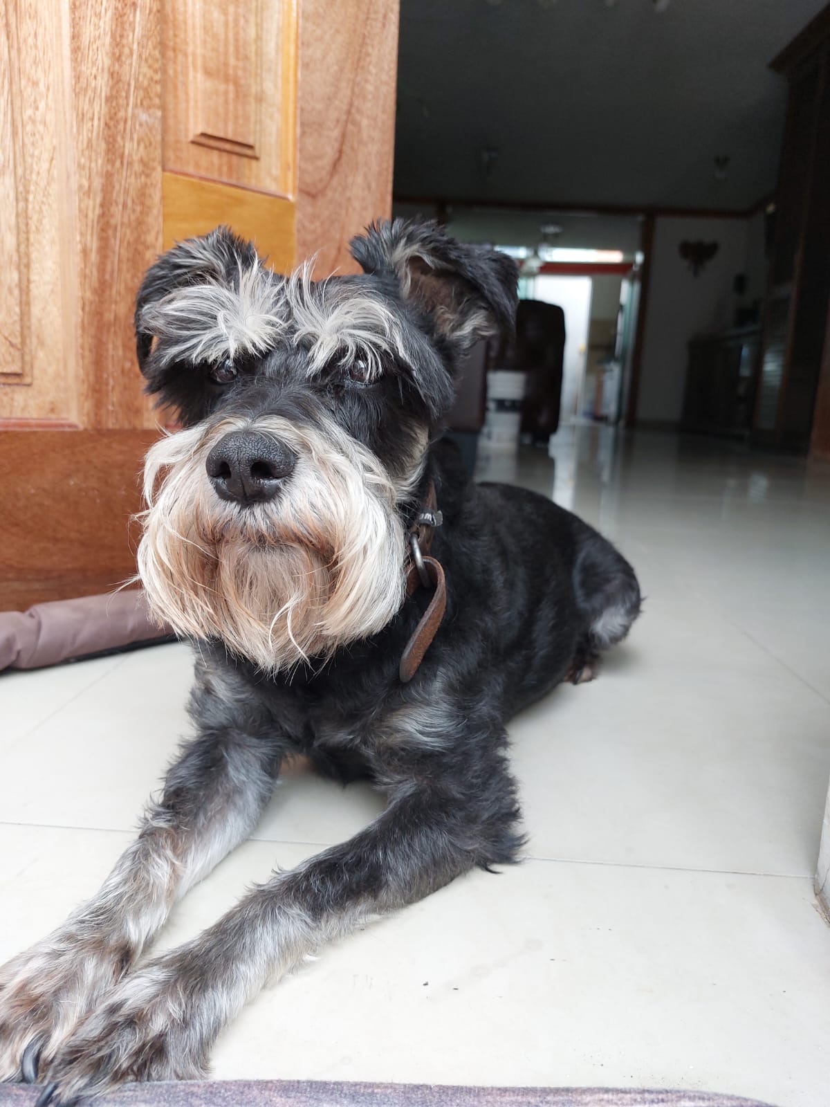 GOLFO