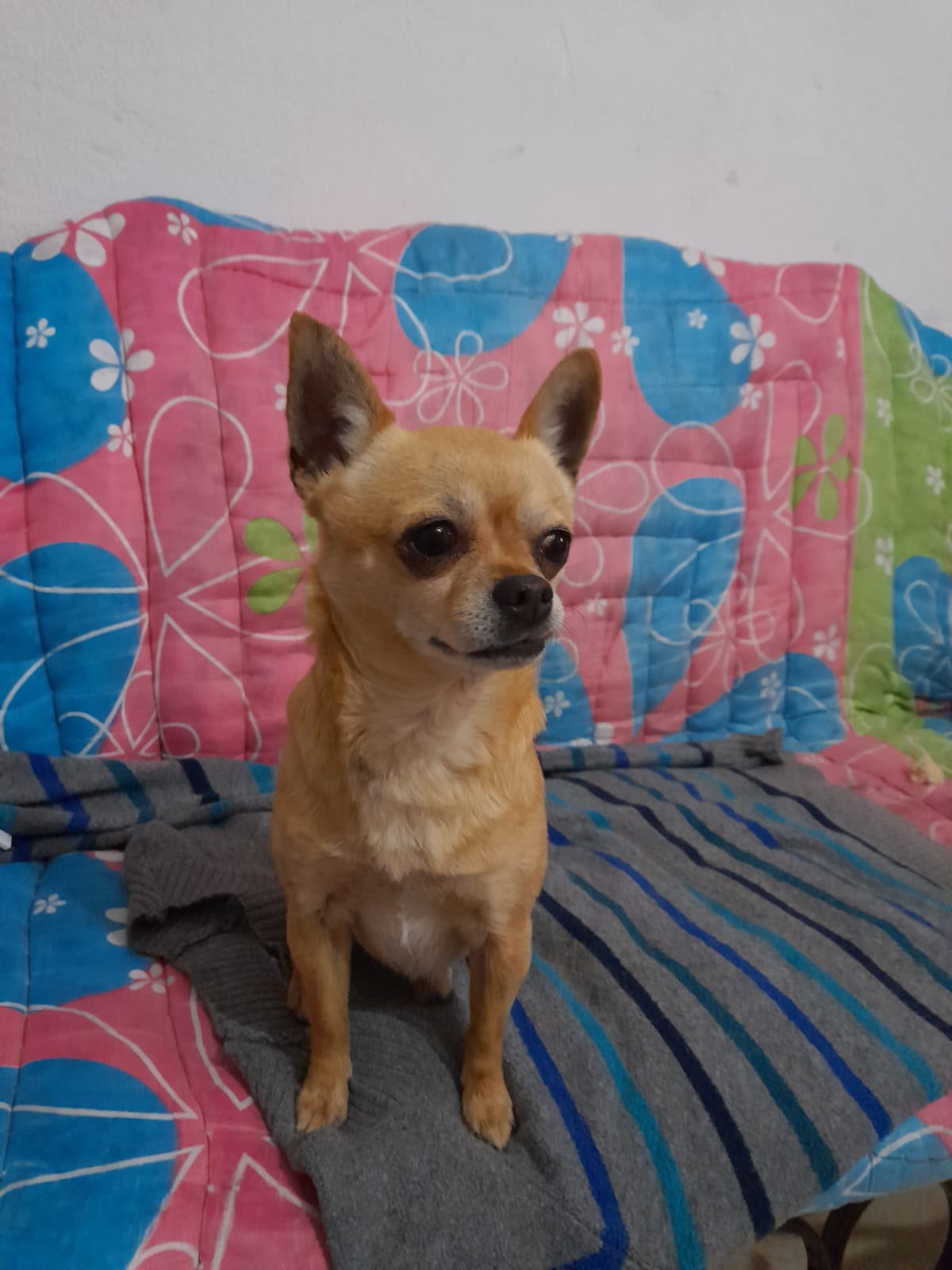 LUCAS