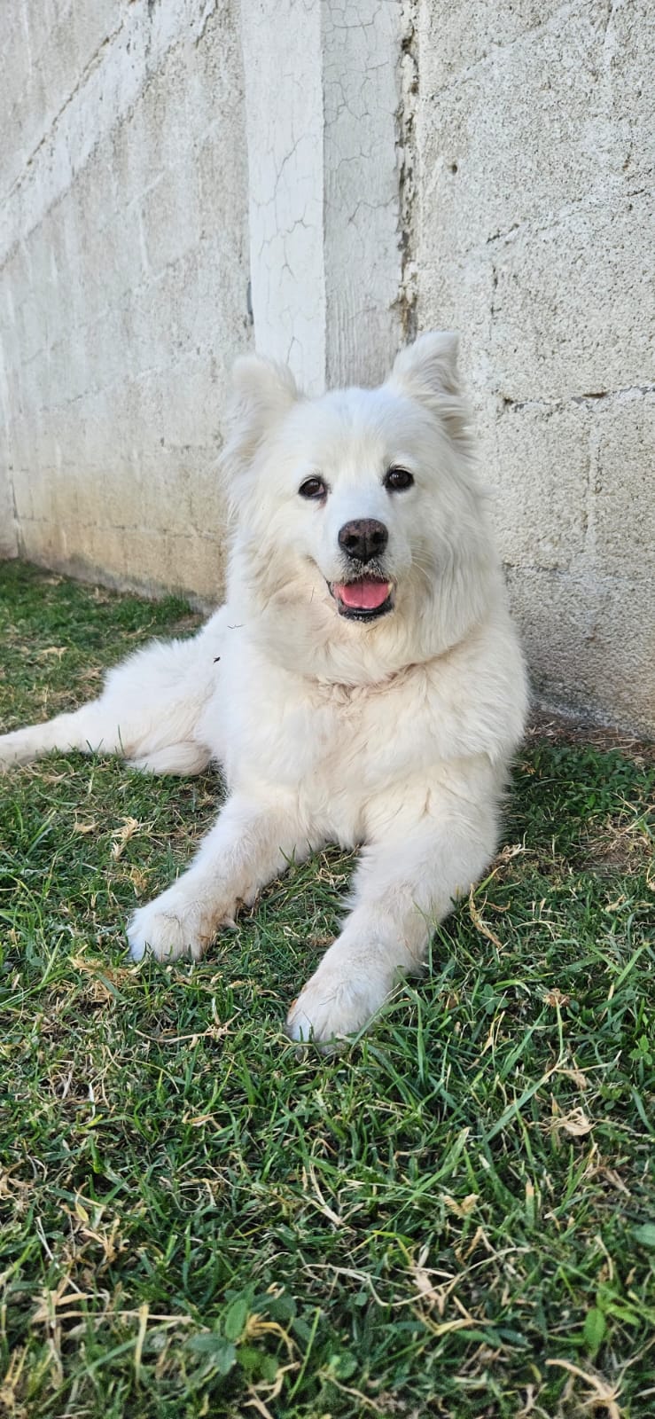 LUNA