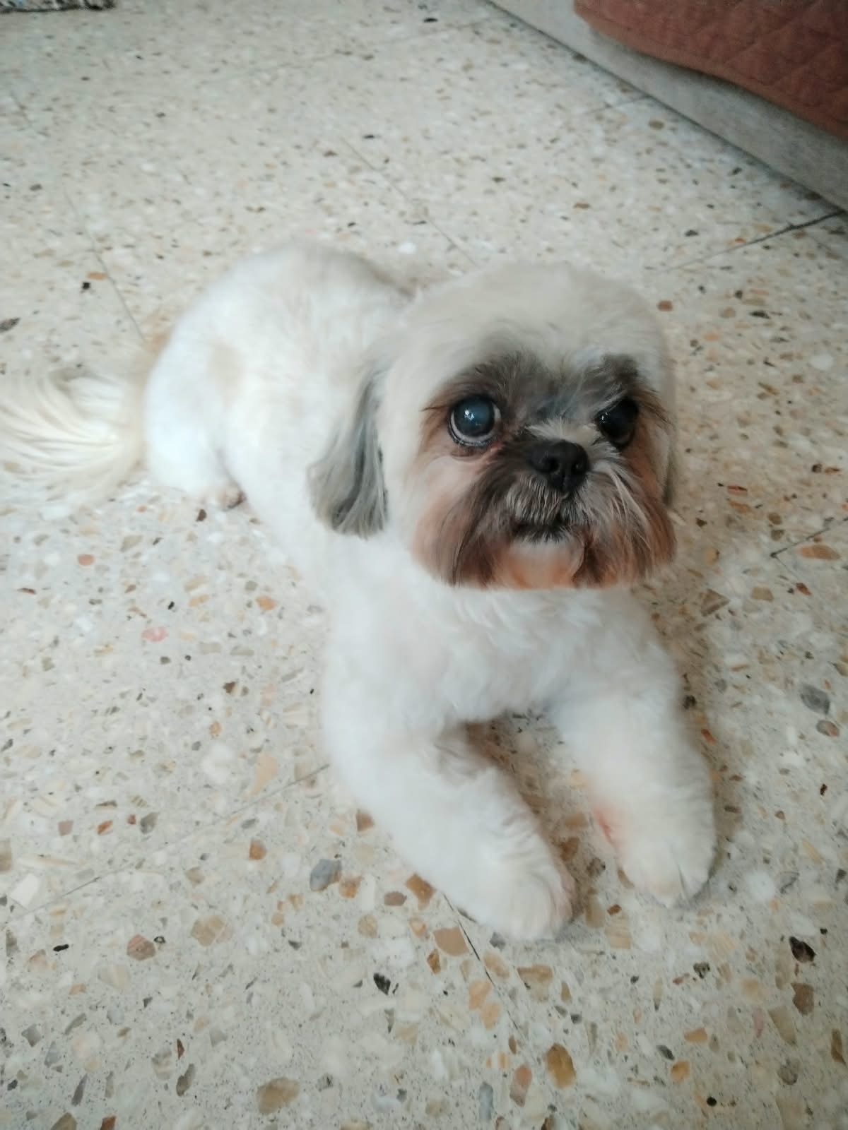 MOLLY