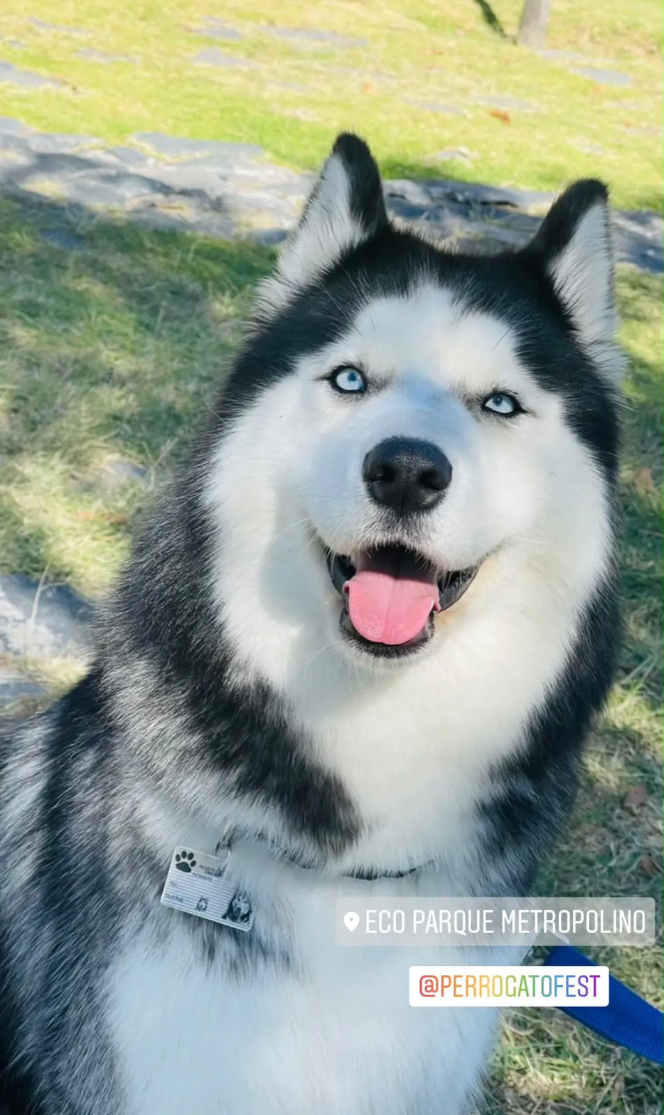 MOLLY