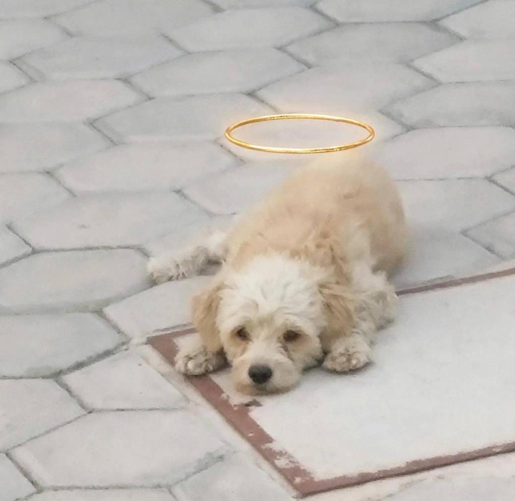 MUÑECO