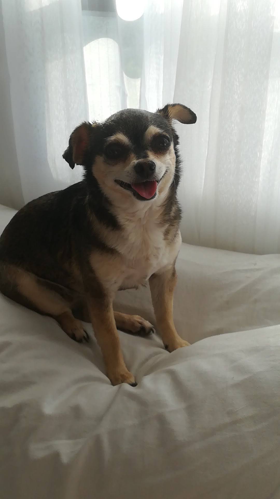 NIKKY