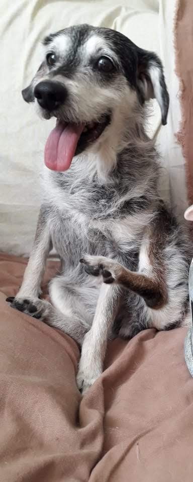 MIMI