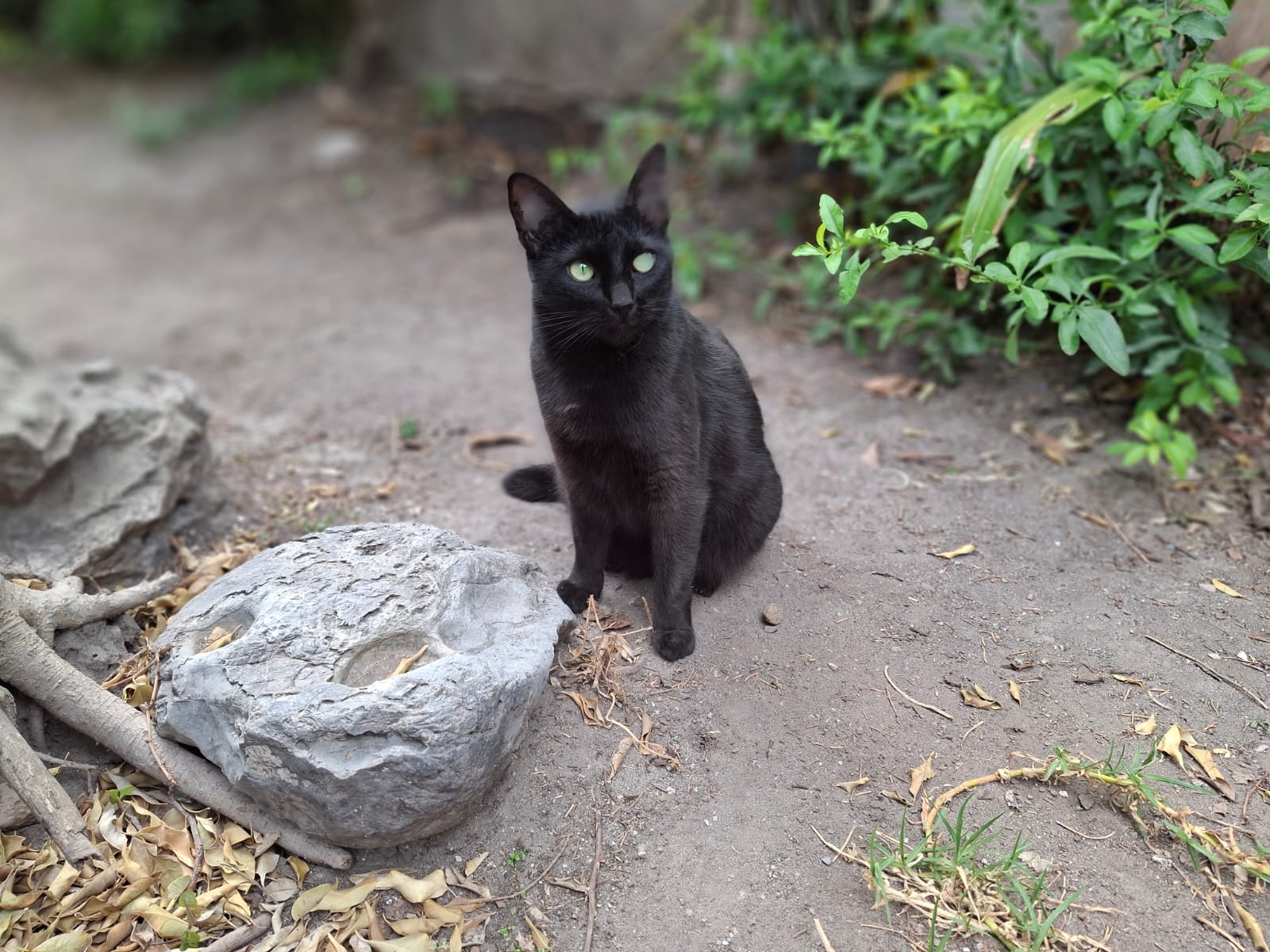SALEM