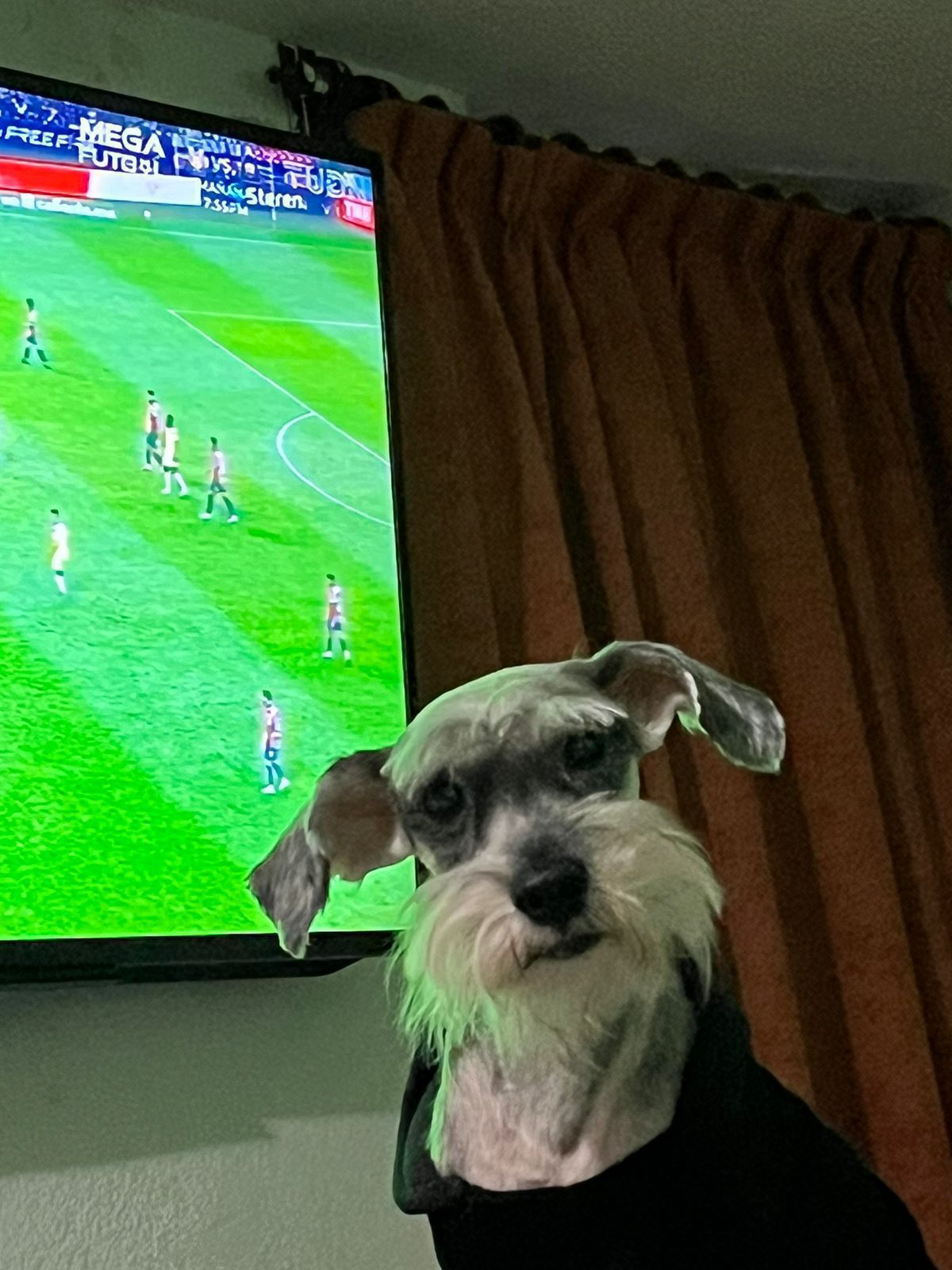 JUNIOR