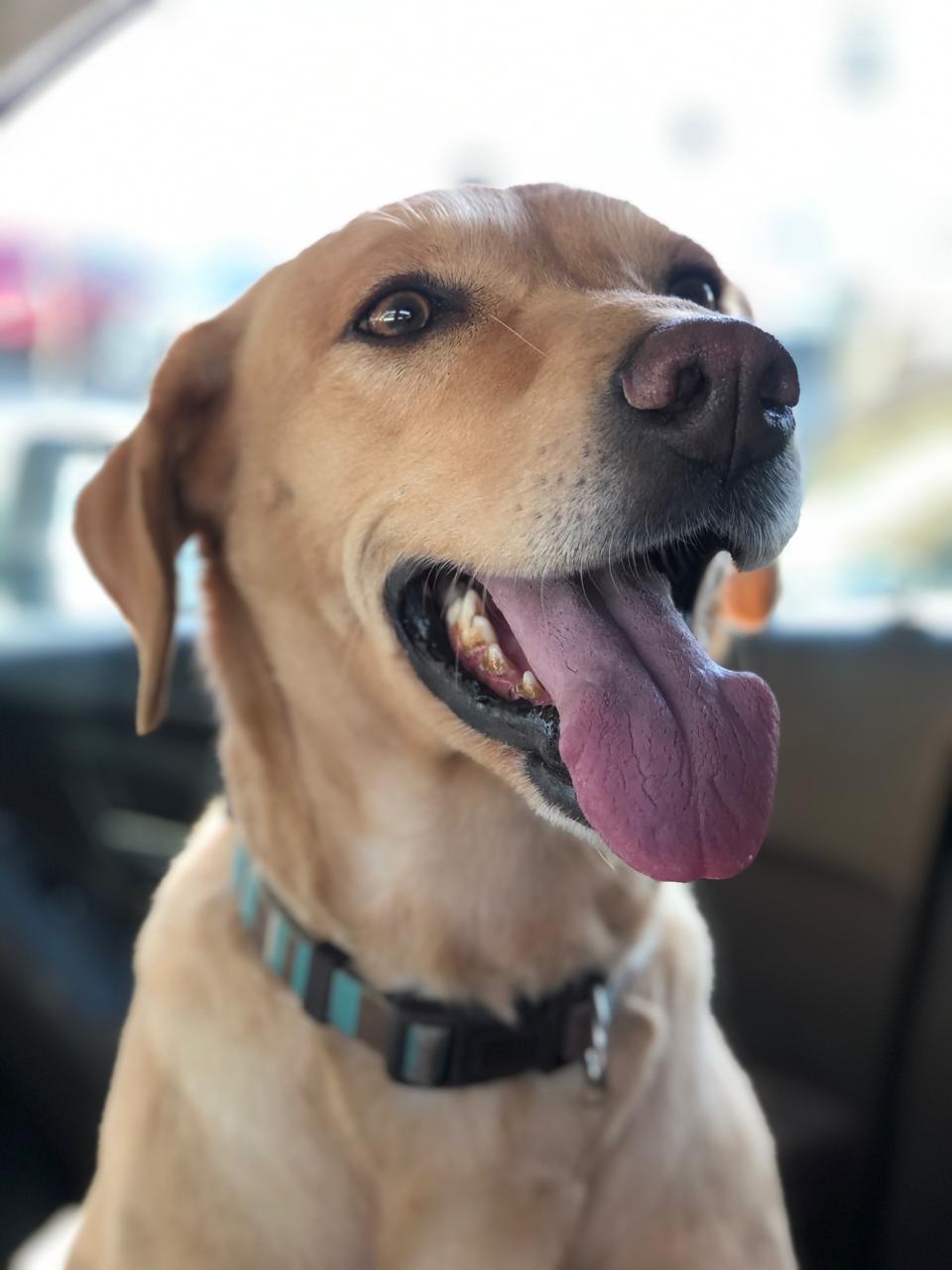 NALA
