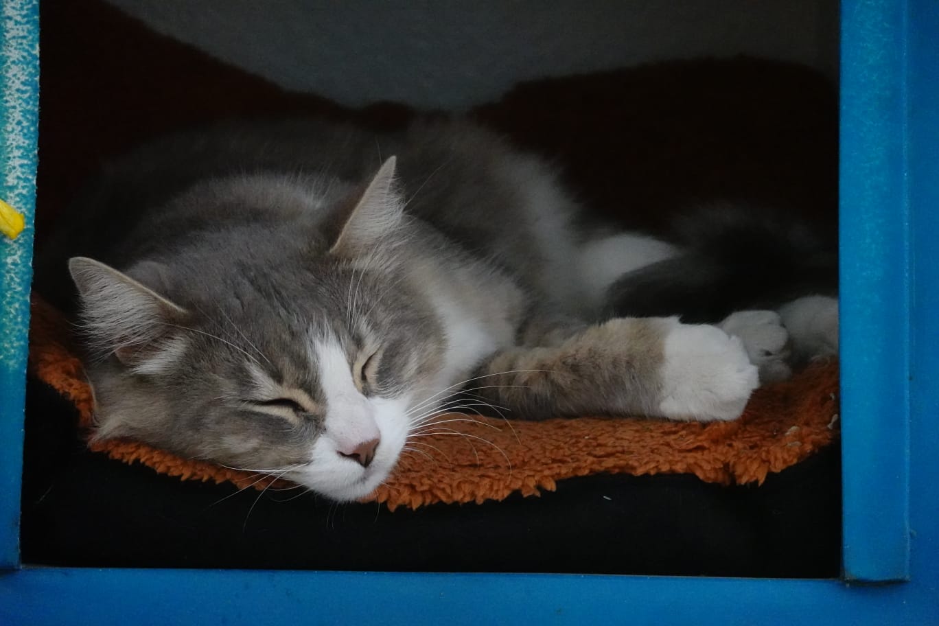 FLUFFY