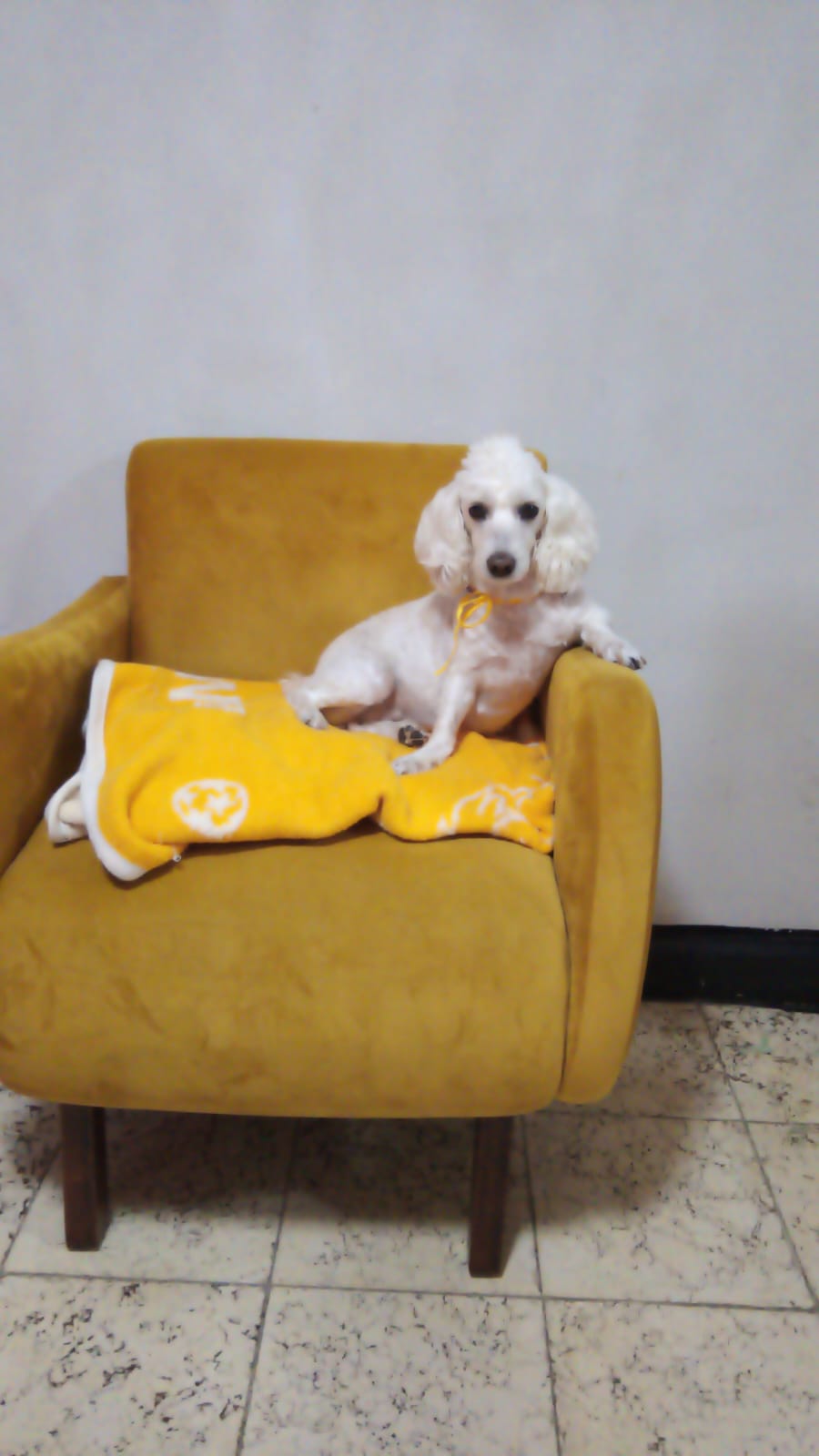 CHAMACA