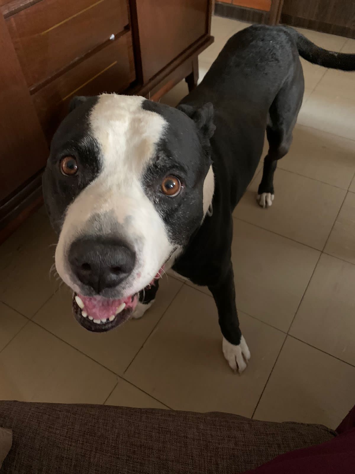 DUKE