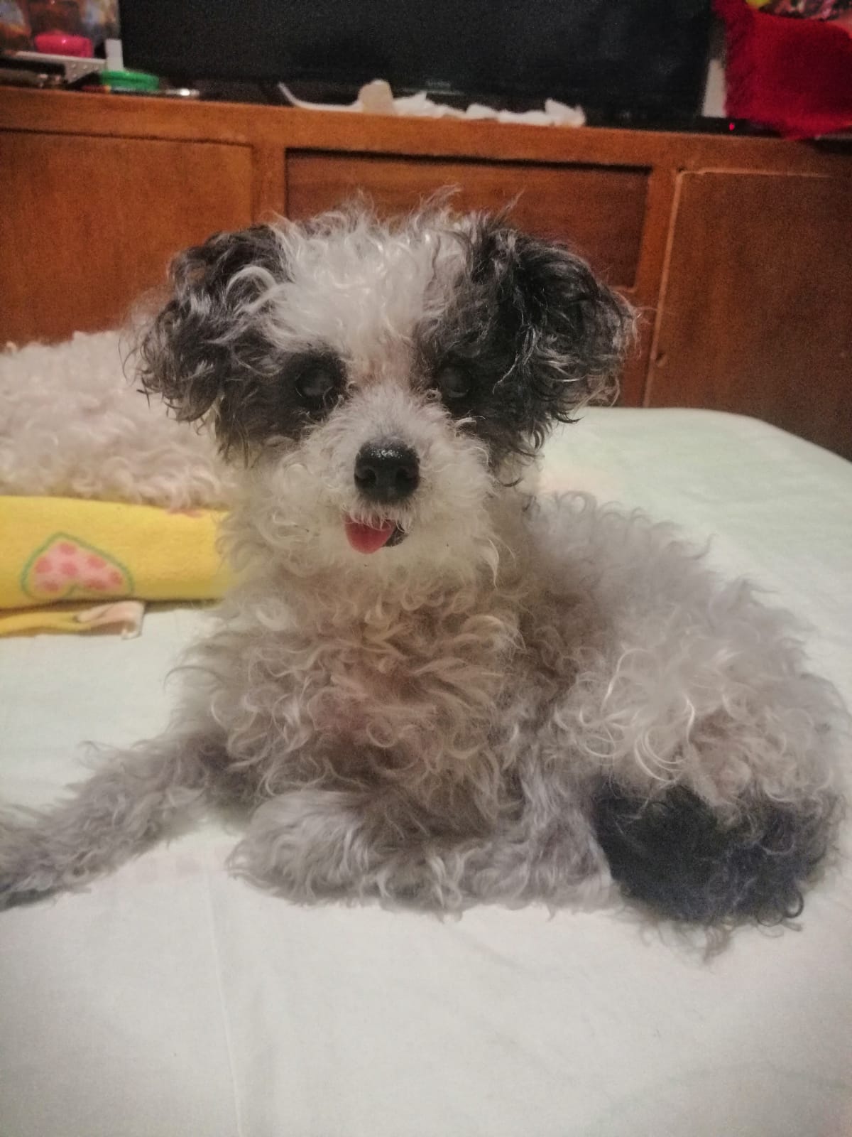KIMBA