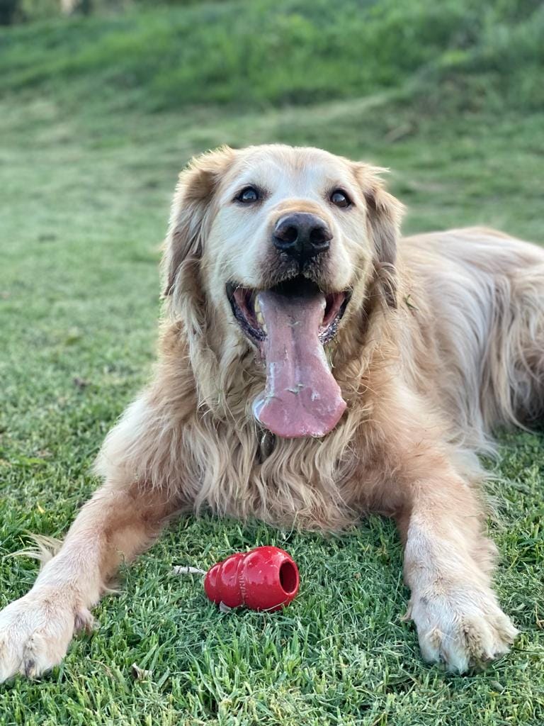 MARLEY