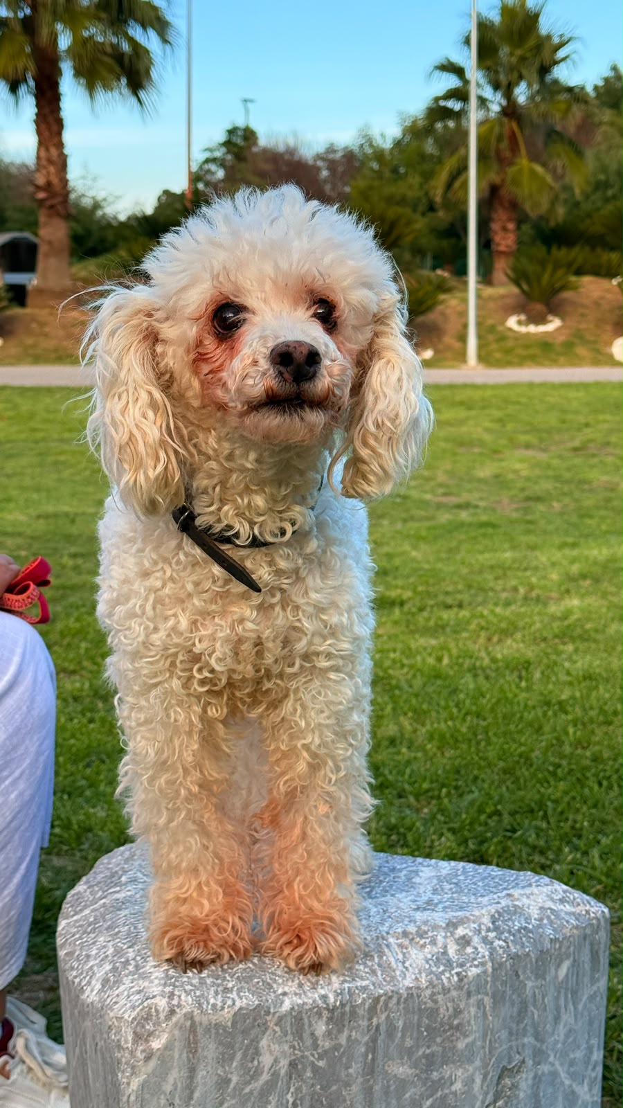 MUÑE